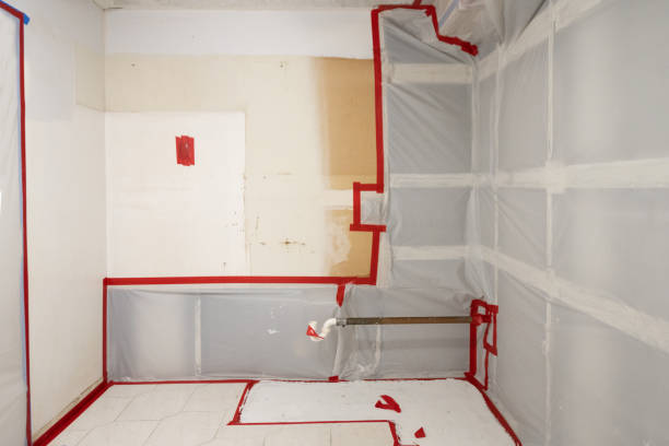 Best Mold Prevention Services  in Tooele, UT