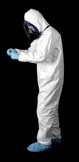 Best Asbestos and Lead Testing During Mold Inspection  in Tooele, UT
